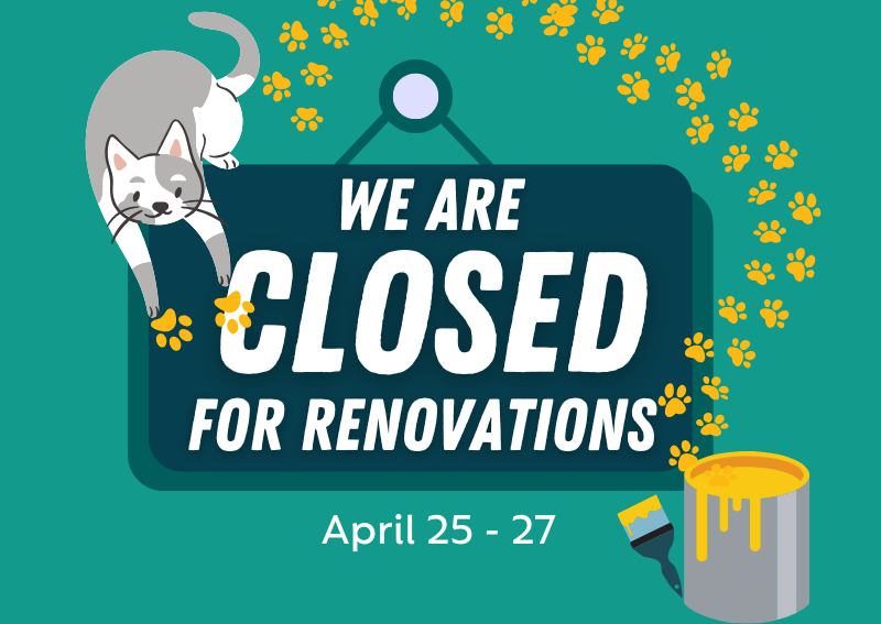 We’re Almost There – Final Stage of Renovation Underway!